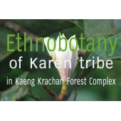 Ethnobotany in Kaeng Krachan forest complex (Thailand): rare, endemic and threatened plant species used  by indigenous people