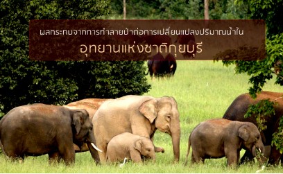 ผลกระทบจากการทําลายป่าต่อการเปลี่ยนแปลงปริมาณน้ำในอุทยานแห่งชาติกุยบุรี